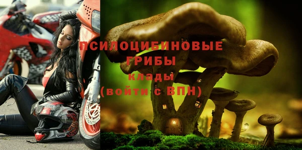 каннабис Баксан