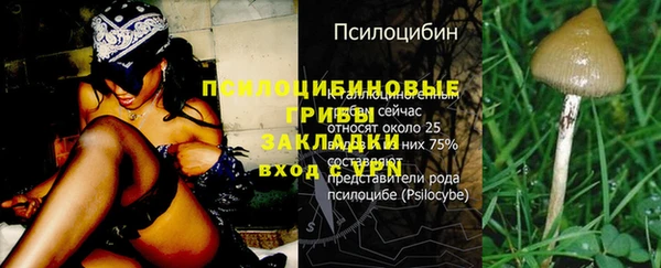 амф Балабаново