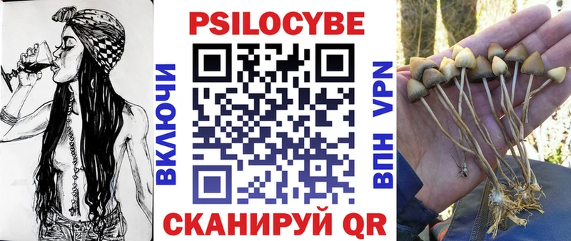 Галлюциногенные грибы мицелий  что такое   Спасск-Рязанский 